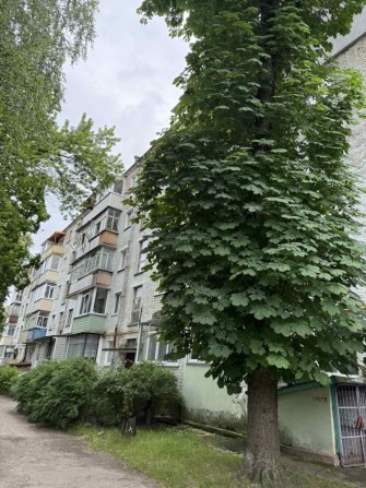 СЕРТИФІКАТ. Продаж 1- нокімнатна квартира. Цегляний будинок! - фото 1