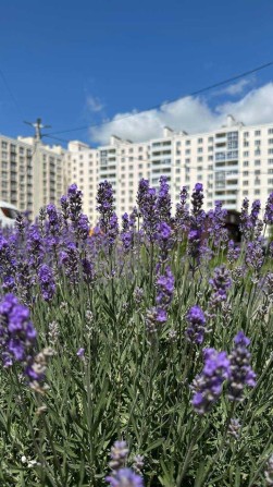 Красива 3-кімнатна квартира по вул. Незалежності, 21 - фото 1