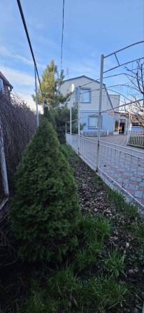 Здається в оренду 2 будинки на одній ділянці. - фото 1
