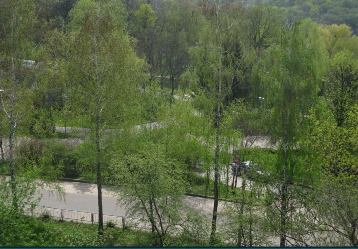 Квартира в парковій зоні - фото 1