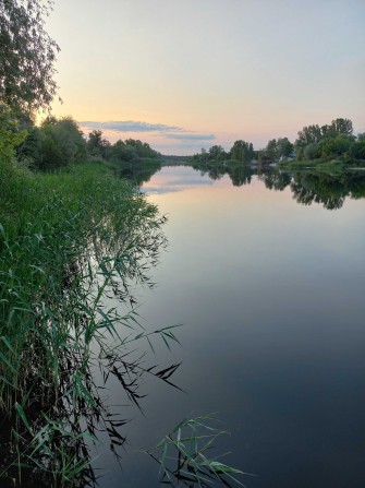 Сдаю дачу/дом на р. Орель. (Обуховка) - фото 1