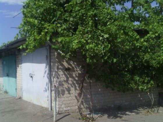 Продам Гараж, Дафи, Гагарина Днепр