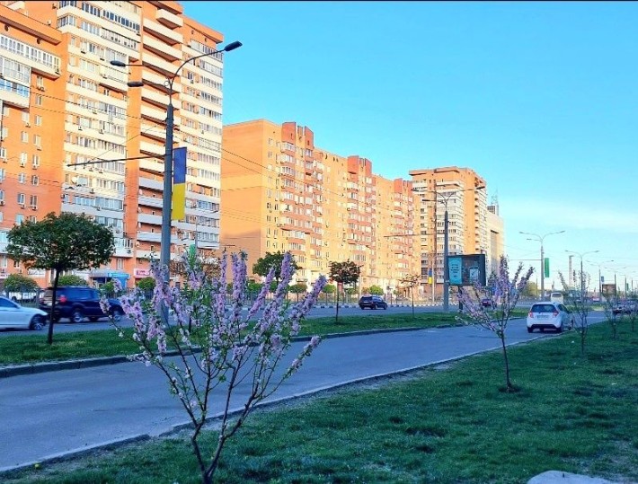 Жилстрой-2 54м2 Гагарина Державинская м.Спортивная - фото 1