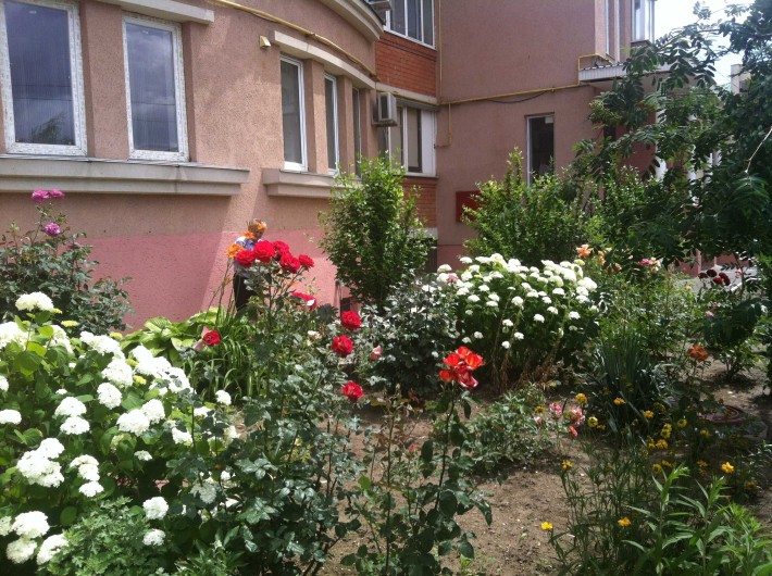 Продам квартиру Тополева/Киевский исполком, высокий бельетаж, закрытая - фото 1