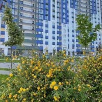 Продаж 2-к квартири вул. Виговського Івана 10 ЖК Варшавський 3 Київ