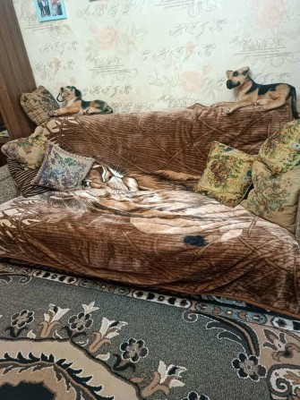 Здам 2-к. квартиру в центрі міста - фото 1