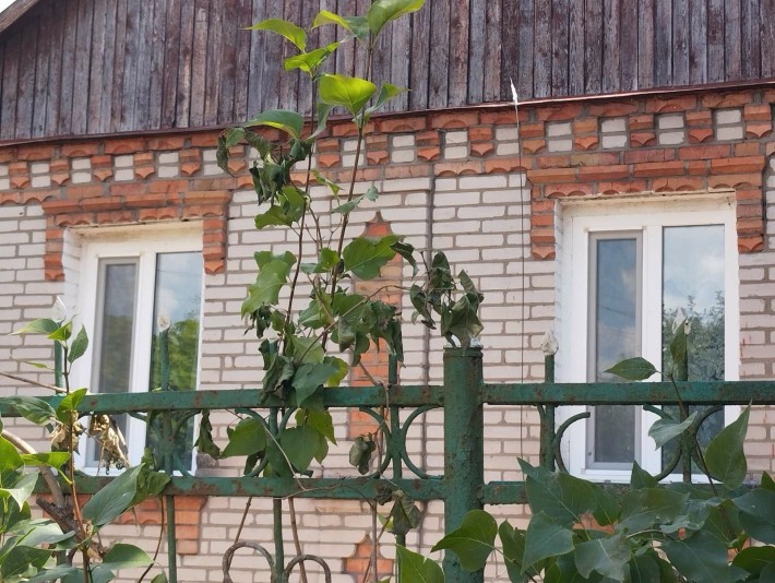 Продам будинок: 23.500у.о - фото 1
