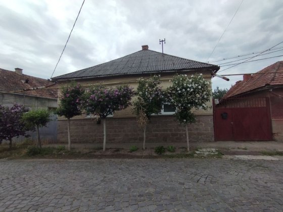 Будинок в Закарпатська обл. Берегівський р-н. г. Берегове Берегове