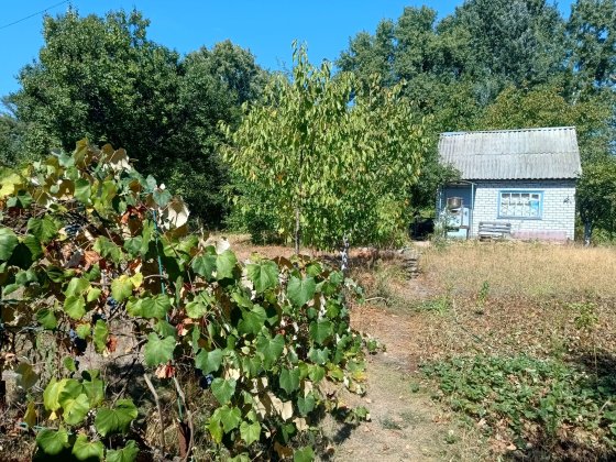 Дача біля водойми Власовка