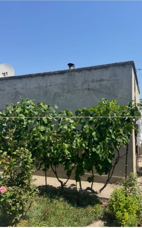 Продам дачу с небольшим домиком - фото 1
