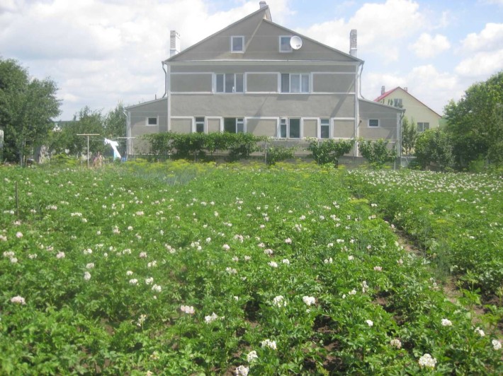 Продам будинок, с.Жовтневе (Мукша-Китайгородська). - фото 1