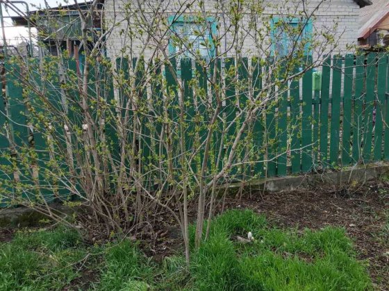 Дом возле Черноморска, Черноморск