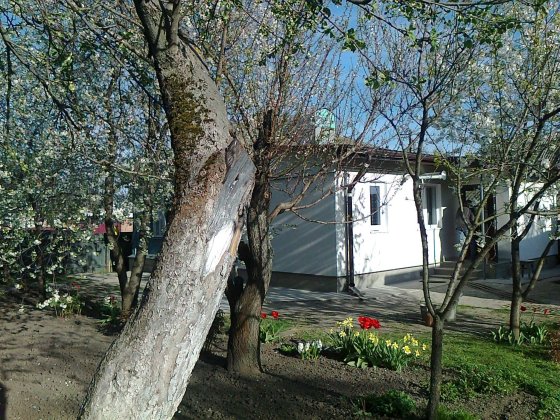 Приватний будинок Конотоп