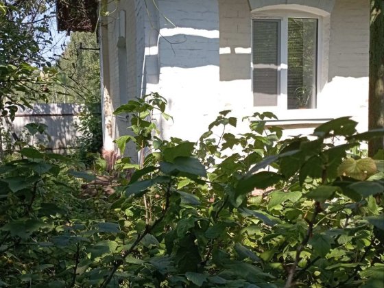 Продається будинок у м. Коростені Коростень