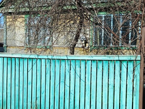 Продається будинок на Пашинах Коростень