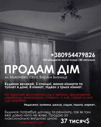 Продам будинок біля Мукачева - фото 1