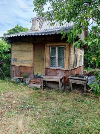 дача на Бузі дачний масив Прикордонник - фото 1