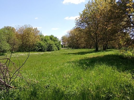 Старий глиняний будинок, в нежилому стані, участок 30 соток с,Кочержин Умань