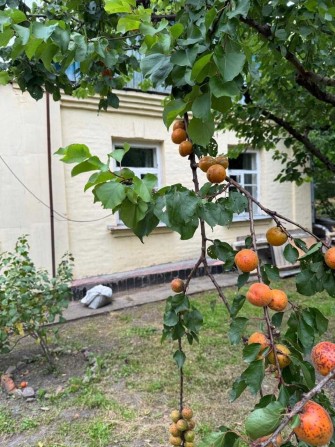 Продам будинок у центрі міста - фото 1