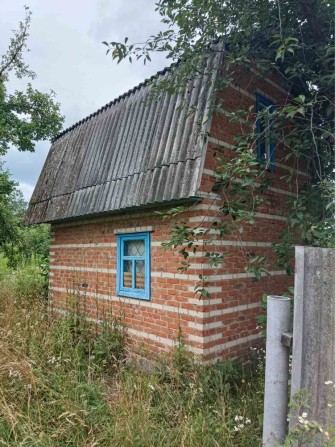 Продам дачу в межаг міста, район - «Ялинки» м. Глухів, їхати 5-7хв. - фото 1