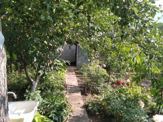 Продаю дачу . Бузькі дачі. Южноукраинск