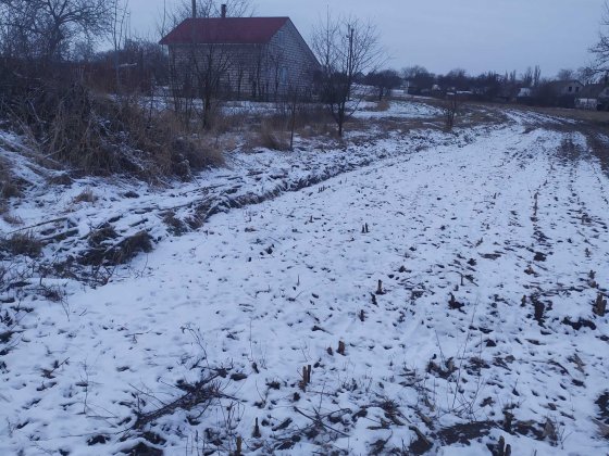 Продам дачу цегляну Белая Церковь