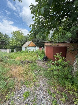 Продам дачу в с . Піщане Білоцерківського району - фото 1