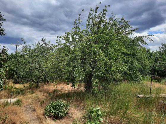 Дача в Центрально-Городском районе на Мопре Кривий Ріг