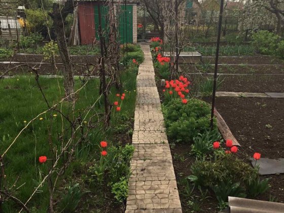 Садово-дачна дільниця Кривий Ріг