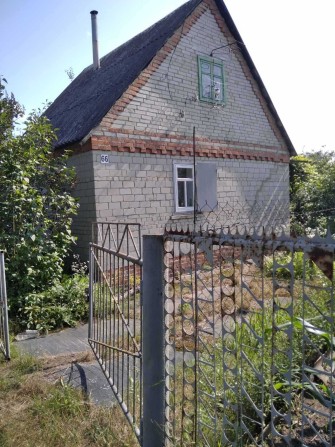 Дача в кооперативі "Олдиш-82" терміново ТОРГ - фото 1
