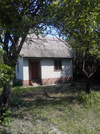 Продам свою дачу с большим участком в Старом Белоусе. - фото 1