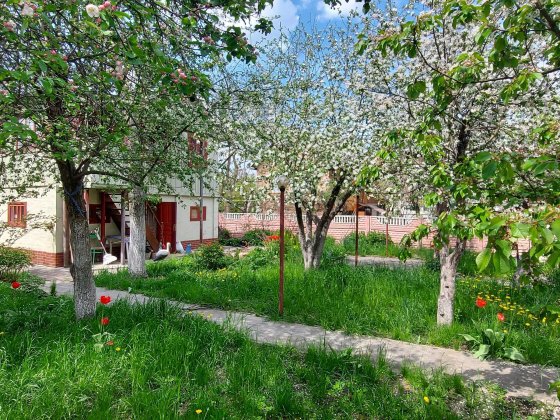 Продам дім з садом поряд річка Дніпро, озеро Міністерка та пляжі. Киев