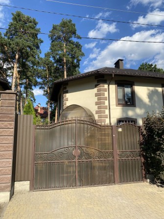 Дуплекс лісова буча - фото 1