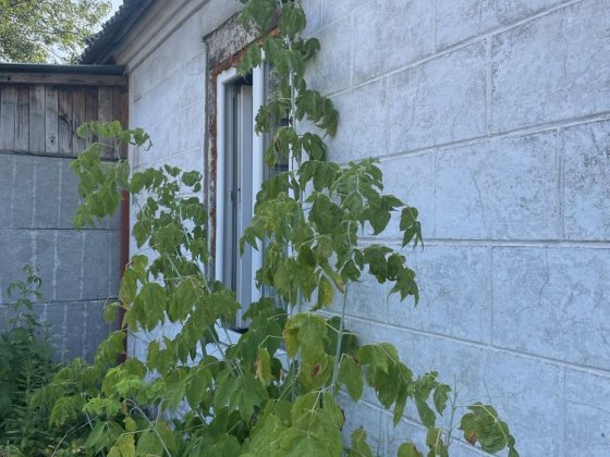 Продам Дом АНД район Береговой Прохладная Дніпро