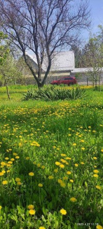 Продам дачу на Левобережном-3 - фото 1