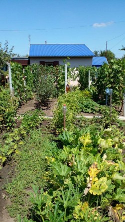 Продаж дачі у місті вул. Істоміна  - будинок, питна вода, світло. - фото 1