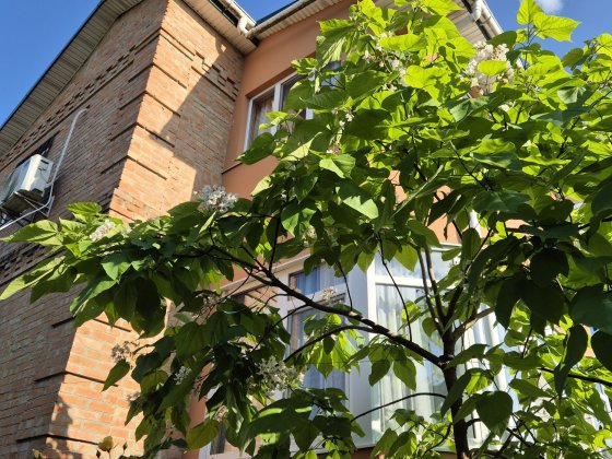 Заміський будинок  в ДК" Ятрань " з ділянкою на березі річки Кропивницький