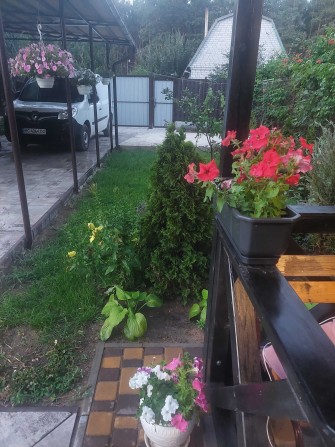 Продам дачу Підлісне - фото 1