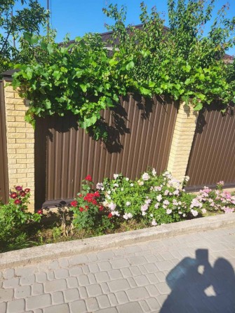 М.Холодная Гора, продам дом,ул.Куряжанская - фото 1