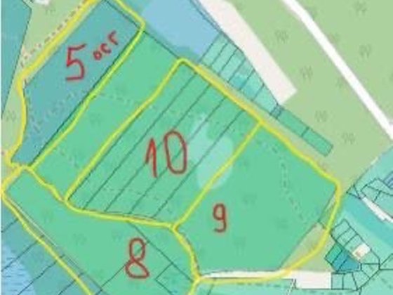 Земельна ділянка 27 га ліс в с. Проців Процев