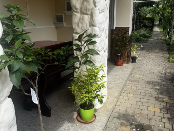 Будиночок подобово для сімʼї в Берегово