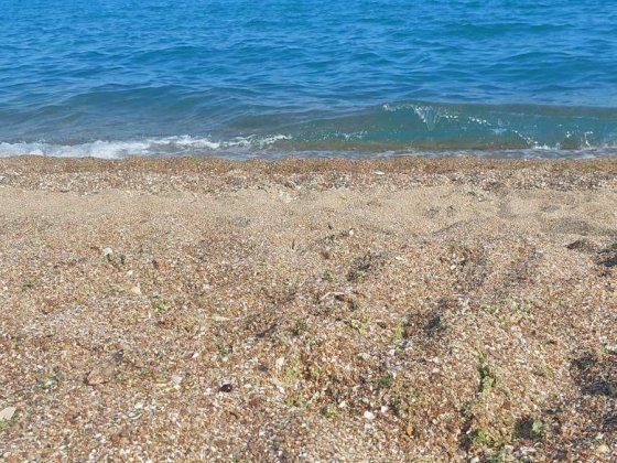 Сдам домик на море  Черноморск 114 причал Чорноморськ