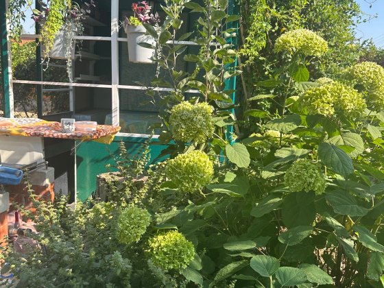 Кімната біля моря подобово Чорноморськ