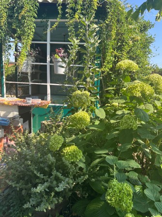 Кімната біля моря подобово - фото 1