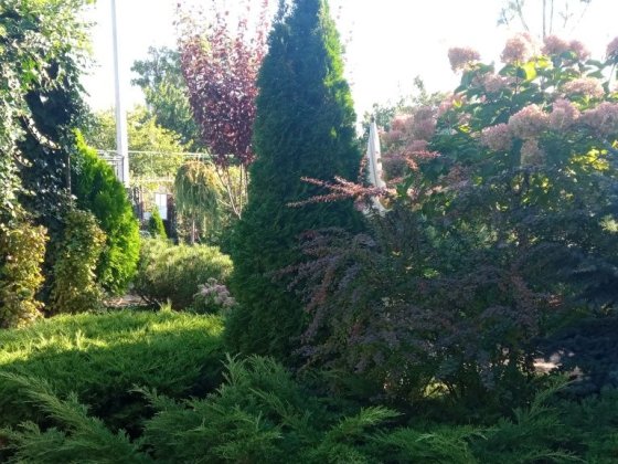 Сдам часть дома во дворе. Черноморск