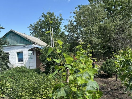 Сдам участок с домиком Лозовая