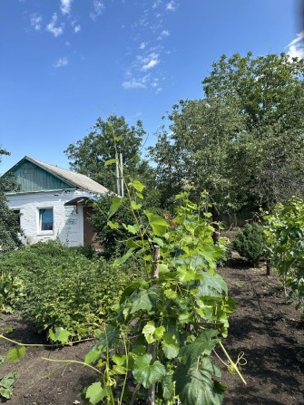 Сдам участок с домиком - фото 1