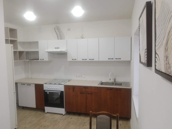 Трикімнатний приватний будинок. Оренда по добово, продаж. Хмельницький