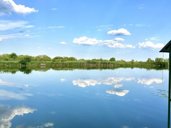 Дом на берегу Днепра с пирсом, баней и камином. Посуточно Київ