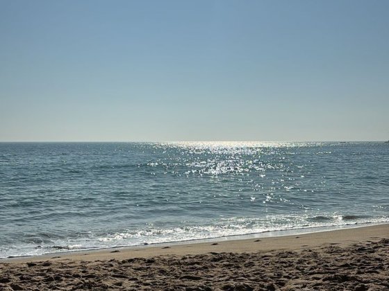 Сдам дом - дача у моря Французский бульвар ,первая линия. Одеса